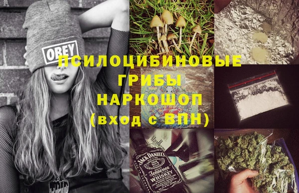 таблы Дмитровск